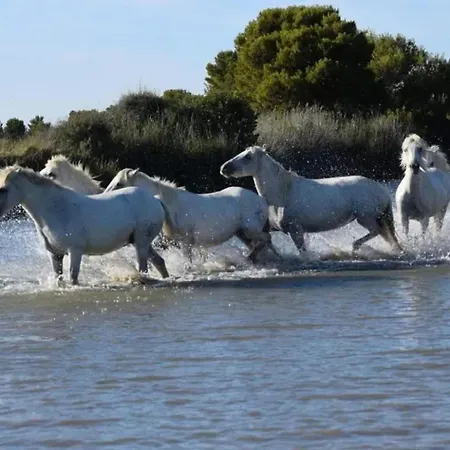 Appartamento Confortable à – 30 M²