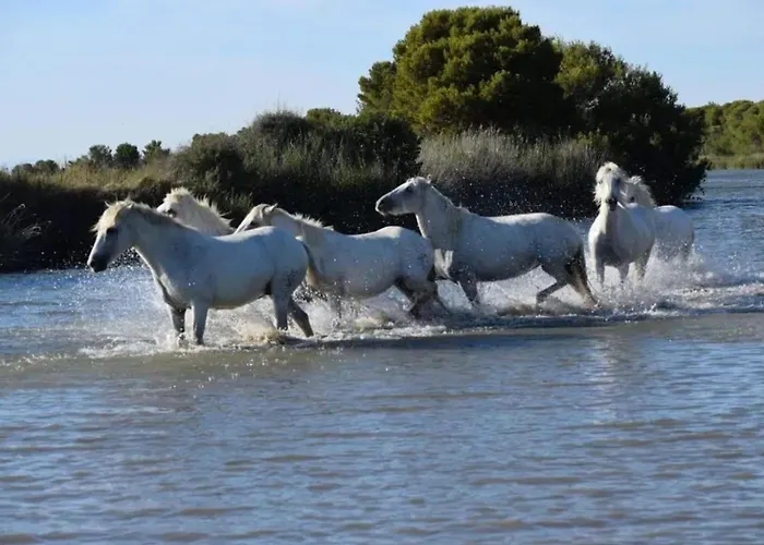 Appartamento Confortable à – 30 M²